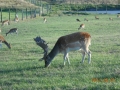 dscn2785