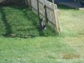 DSCN3816.JPG