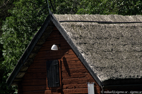Red n' Reed Roof