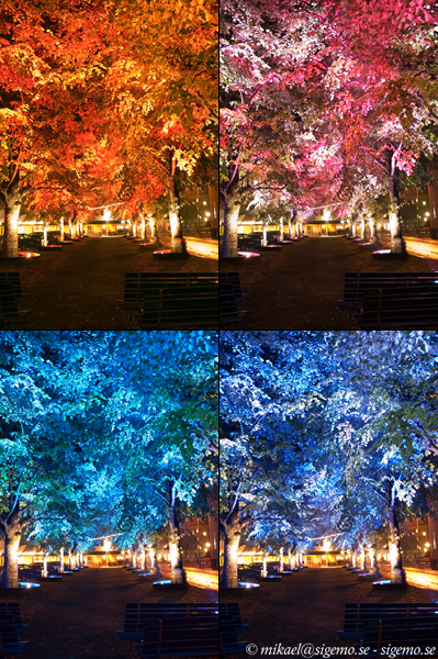 Lights in Alingsas 06 #1