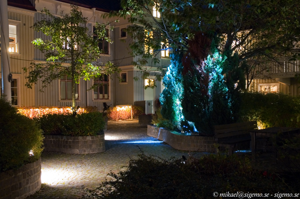 Backyard enlighted