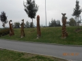 dscn3168