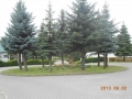 dscn3216