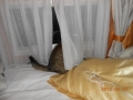 dscn3221