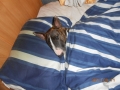 dscn3256