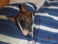 dscn3257