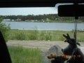 DSCN3337