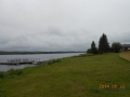 DSCN3379