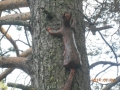 DSCN3461