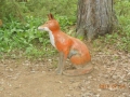 DSCN3462