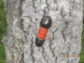DSCN3468
